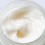 Dynasty Cream